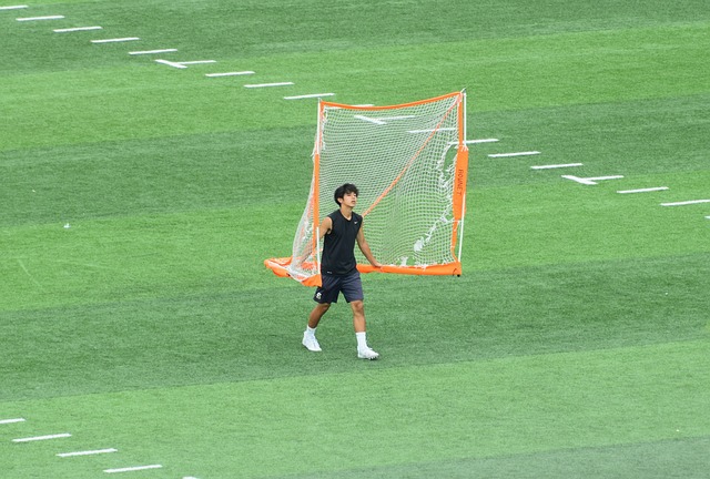 组织